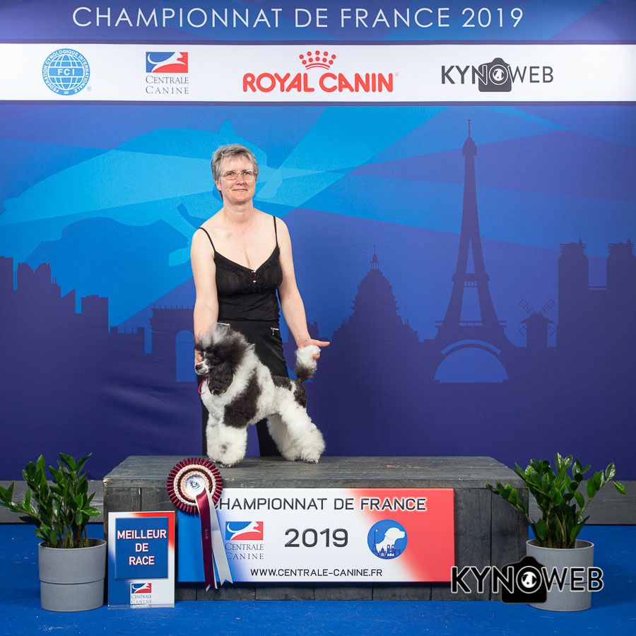de Cybèle des Can'tzu - Championnat de France 2019