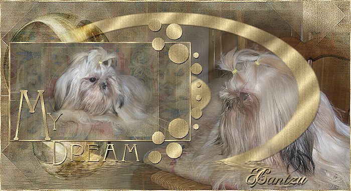 Shangai de Cybèle des Can'tzu